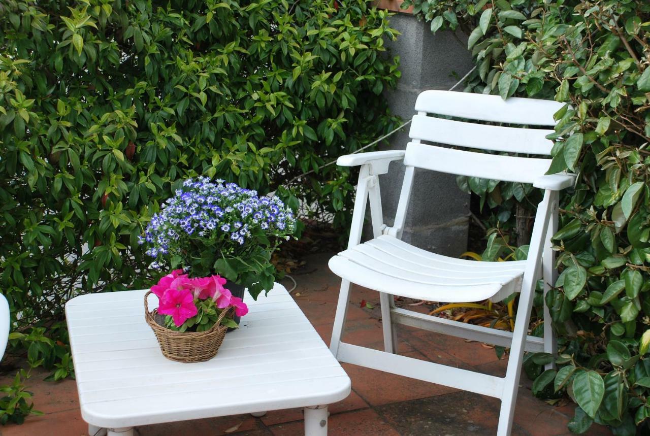 Apartament Casa Ai Pini Panzano in Chianti Zewnętrze zdjęcie