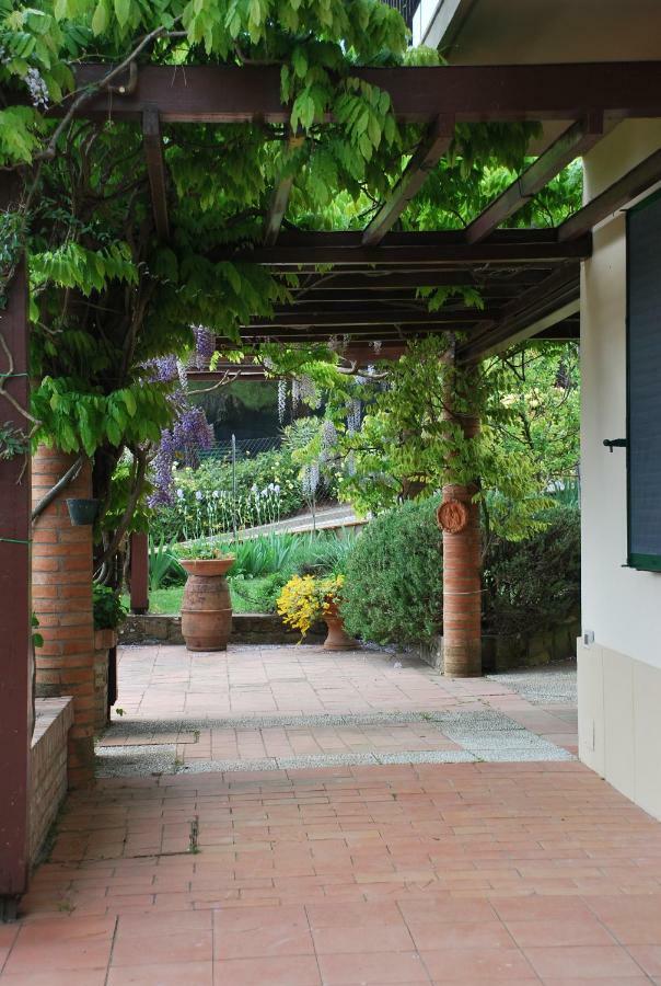 Apartament Casa Ai Pini Panzano in Chianti Zewnętrze zdjęcie