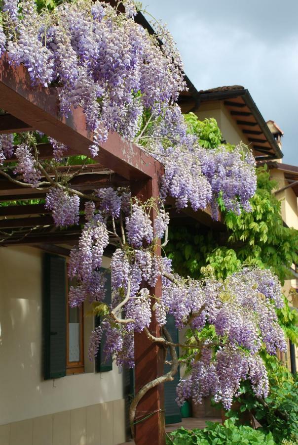 Apartament Casa Ai Pini Panzano in Chianti Zewnętrze zdjęcie