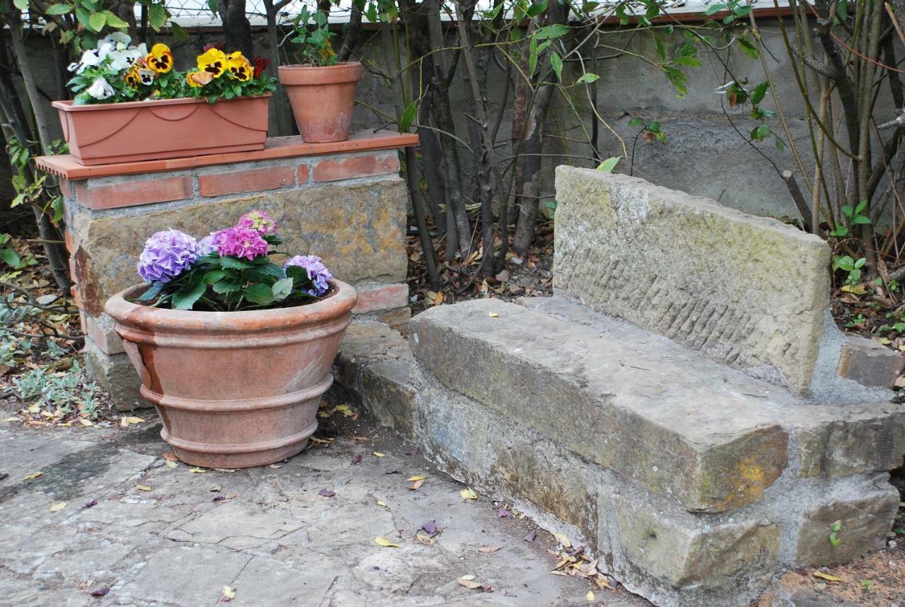 Apartament Casa Ai Pini Panzano in Chianti Zewnętrze zdjęcie
