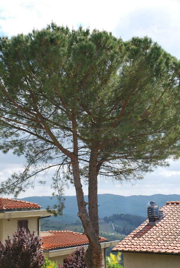 Apartament Casa Ai Pini Panzano in Chianti Zewnętrze zdjęcie